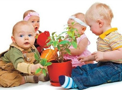 Комнатные растения для детской